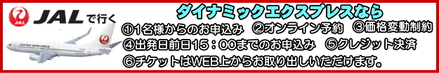 JALダイナミックエクスプレスのお申込みから予約完了まで