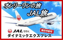 JAL_Ci~bNGNXvXJAL